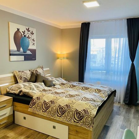 Cozy Apartment Central Location 02 美因茨 外观 照片