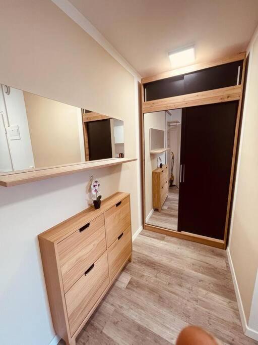 Cozy Apartment Central Location 02 美因茨 外观 照片
