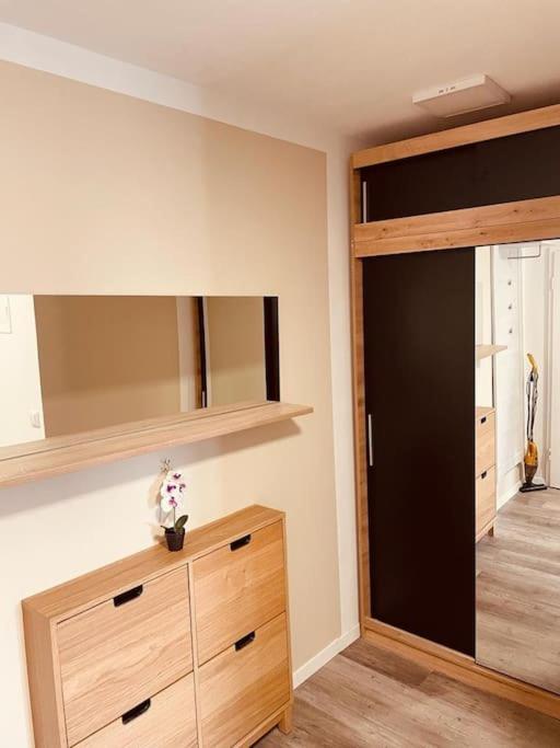 Cozy Apartment Central Location 02 美因茨 外观 照片