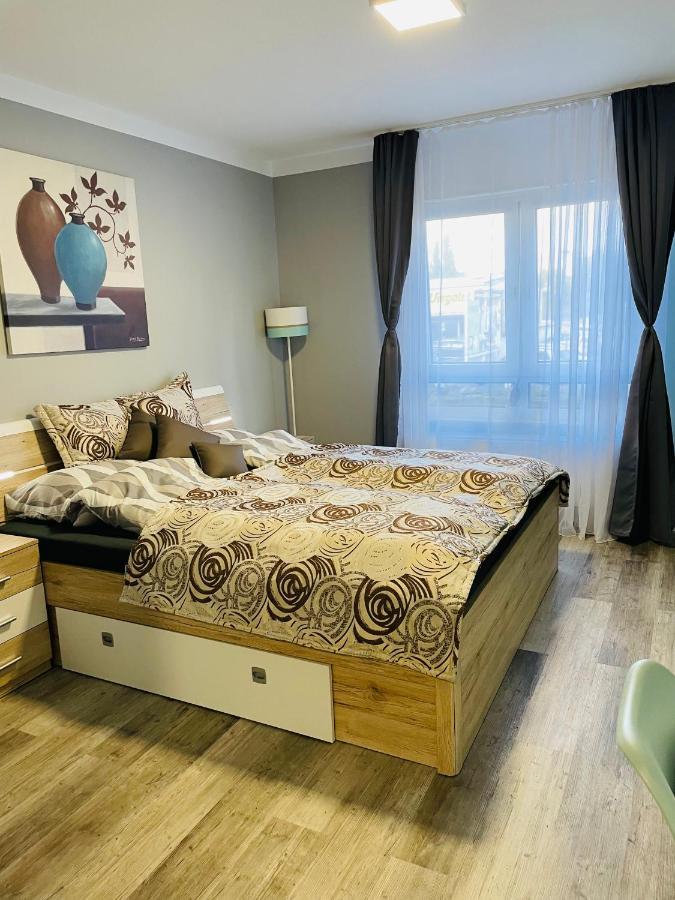 Cozy Apartment Central Location 02 美因茨 外观 照片